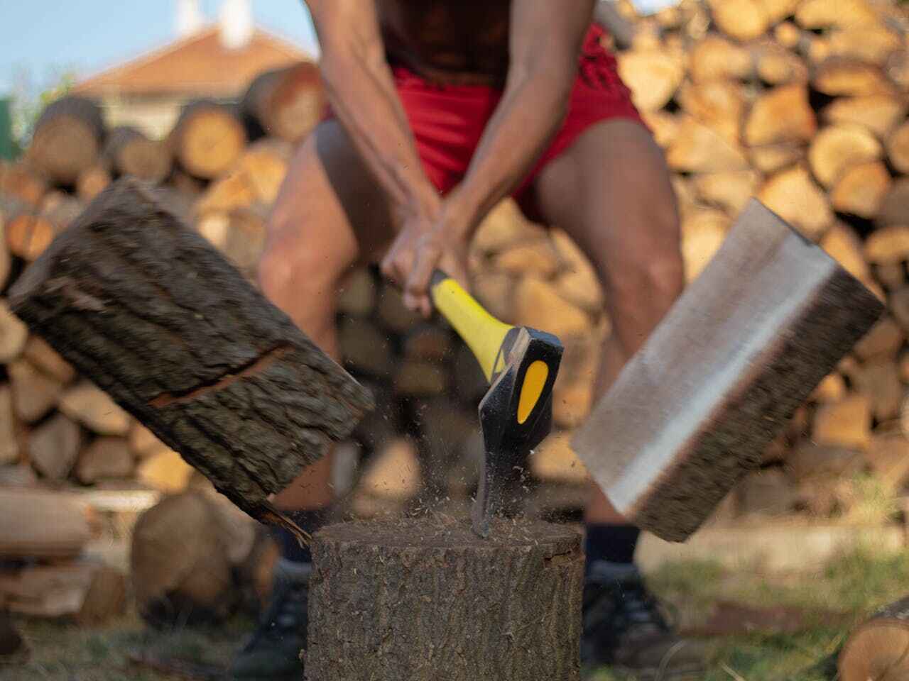 The Steps Involved in Our Tree Care Process in Wild Peach Village, TX